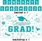 Teal and Gold Class of 2026 Graduation Decorations - Congrats Grad Backdrop & Banner Set - Porch Signs, 2026 Foil Balloons & Pom Poms - High School & College Party Supplies